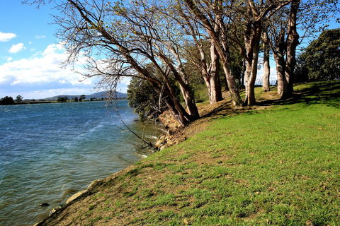Terara Riverside Retreat - Sydney 4u 32