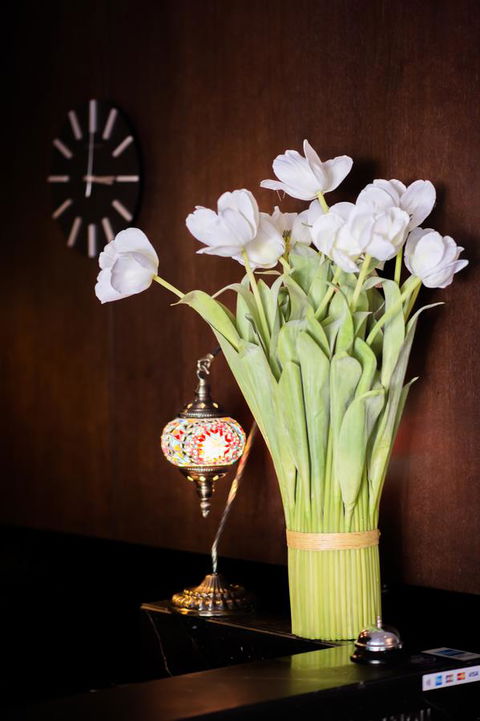 Kirketon Hotel Sydney - Accommodation Sydney 24