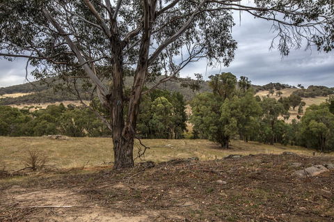 Pound Creek Gallery - Sydney 4u 29