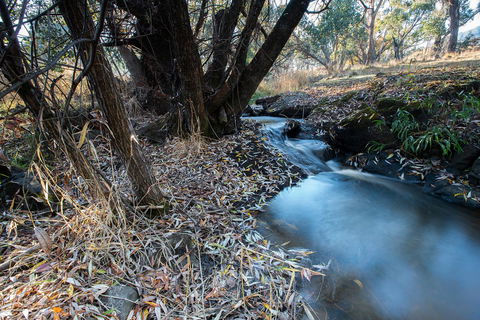 Pound Creek Gallery - Sydney 4u 26