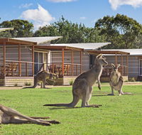 Discovery Parks  Pambula Beach - Sydney 4u