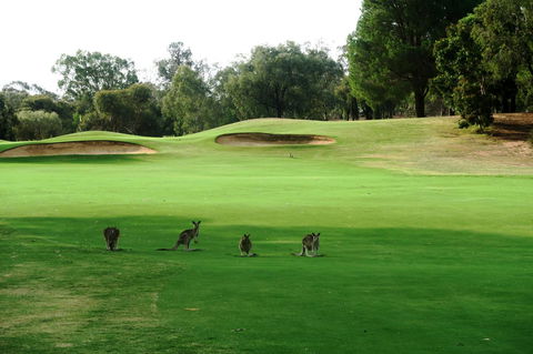 Mulwala Resort - Sydney 4u 40