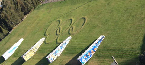 Stunning Views Sydney Olympic Park - Sydney 4u 29