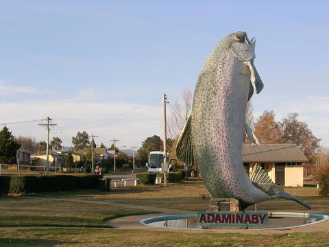 Cooma Motor Lodge Motel - Sydney 4u 19