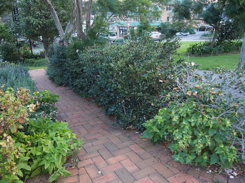 Bellevue Accommodation - Sydney 4u 22