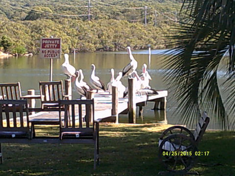 Pelican H2O One & Two Bedroom Apartments - Sydney 4u 9