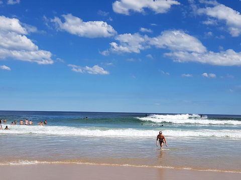 Arena Luxury Beachfront Apartment - Sydney 4u 3