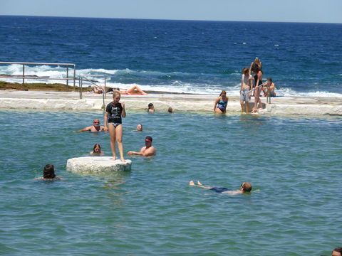 Arena Luxury Beachfront Apartment - Sydney 4u 33