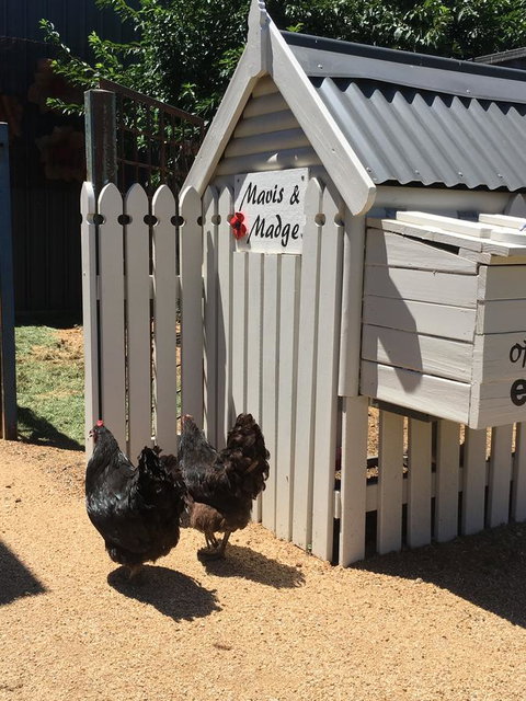 Thelma's Temora - Accommodation Sydney 12