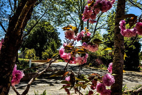 Bundanoon Lodge - Sydney 4u 3