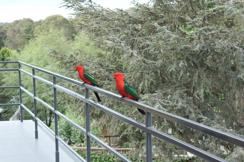 Bundanoon Lodge - Sydney 4u 7