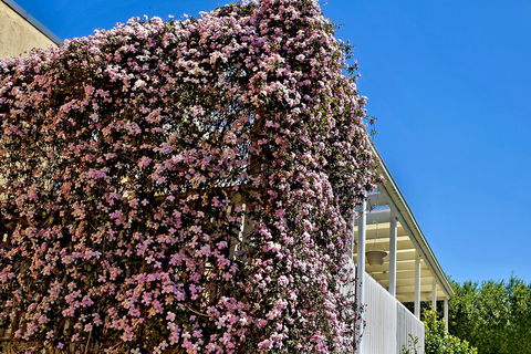 Bundanoon Lodge - Sydney 4u 13