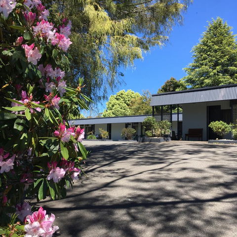 Sky Rider Motor Inn - Sydney 4u 14