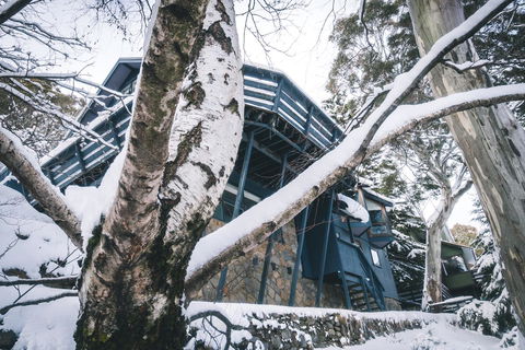 Pure Chalet Thredbo - Accommodation Sydney 21