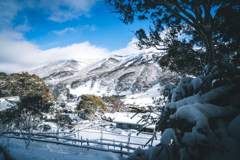 Pure Chalet Thredbo - Accommodation Sydney 31
