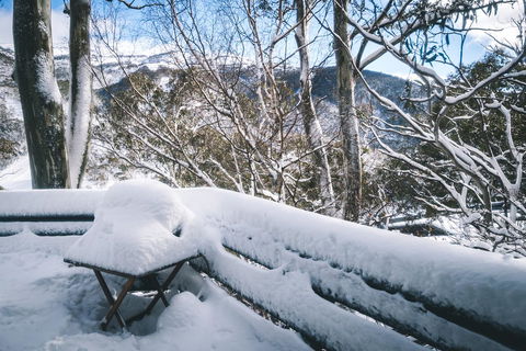 Pure Chalet Thredbo - Accommodation Sydney 19