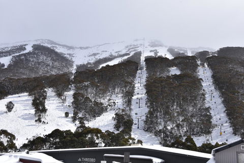 Pure Chalet Thredbo - Accommodation Sydney 6