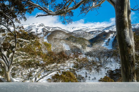 Pure Chalet Thredbo - Accommodation Sydney 17