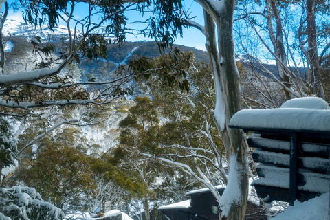 Pure Chalet Thredbo - Accommodation Sydney 30