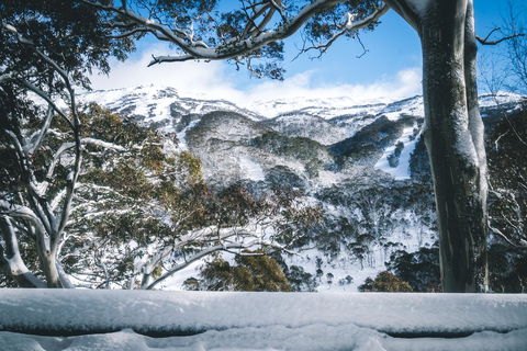 Pure Chalet Thredbo - Accommodation Sydney 2
