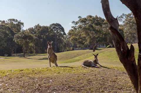 Horizons Retreat & Golf, Villa 133 - Sydney 4u 18