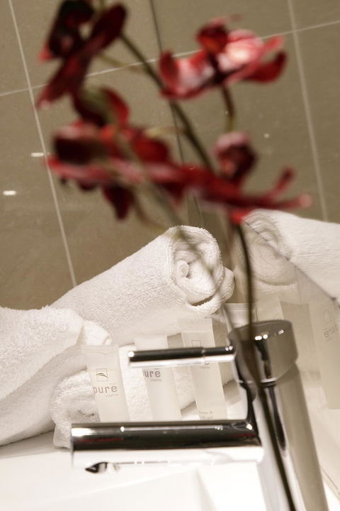 Carlyle Suites & Apartments - Accommodation Sydney 21