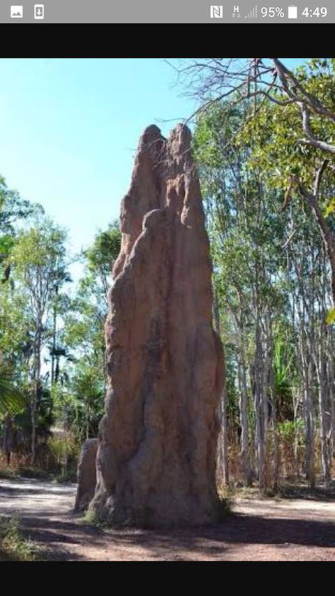 'Tropical Oasis - Darwin NT - Sydney 4u 31