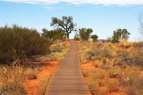 Discovery Resorts - Kings Canyon - Sydney 4u 27
