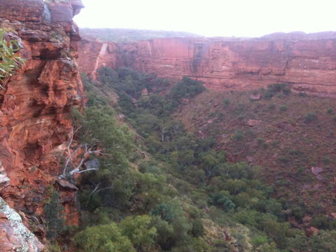 Discovery Resorts - Kings Canyon - Sydney 4u 34