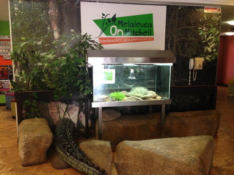 Melaleuca On Mitchell - Darwin YHA - Sydney 4u 32