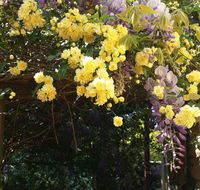 Bowral Road Bed and Breakfast - Sydney 4u