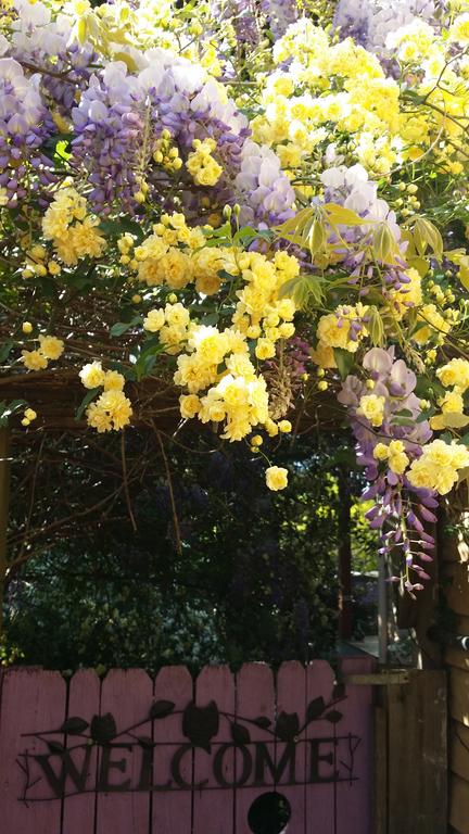 Bowral Road Bed And Breakfast - Accommodation Sydney 0