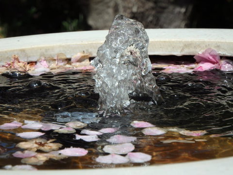 Bowral Road Bed And Breakfast - Accommodation Sydney 2