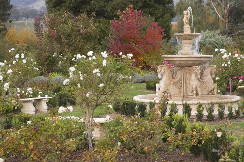 Brookfield Guest House - Sydney Resort 1