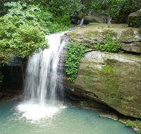 Buderim Forest Hideaway - Accommodation Sydney