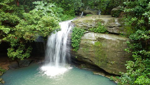 Buderim Forest Hideaway - Sydney 4u 0