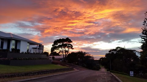 C'est La Vie - Accommodation Sydney 0