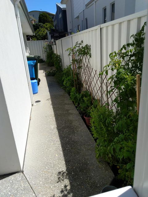 C'est La Vie - Accommodation Sydney 2