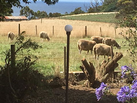 Cape View B And B - Sydney 4u 0