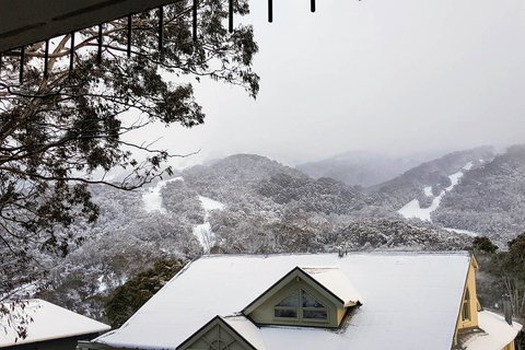 Celesia 2 - Accommodation Sydney 0