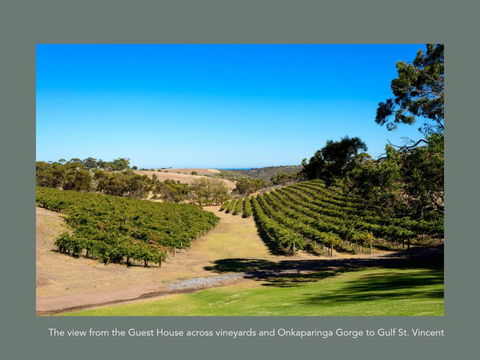Chapel Hill Winery Guest House - Sydney 4u 1