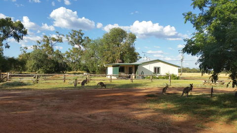 Charleville Bush Cottage - Sydney 4u 1