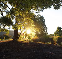 Clarendon Forest Retreat - Accommodation Sydney