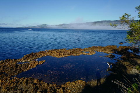 Coast House Tasmania - Sydney 4u 2
