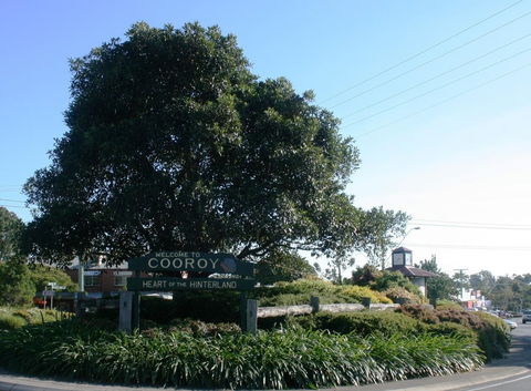 Cooroy Luxury Motel Apartments - Sydney 4u 2