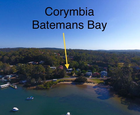 Corymbia Batemans Bay - Accommodation Sydney 1