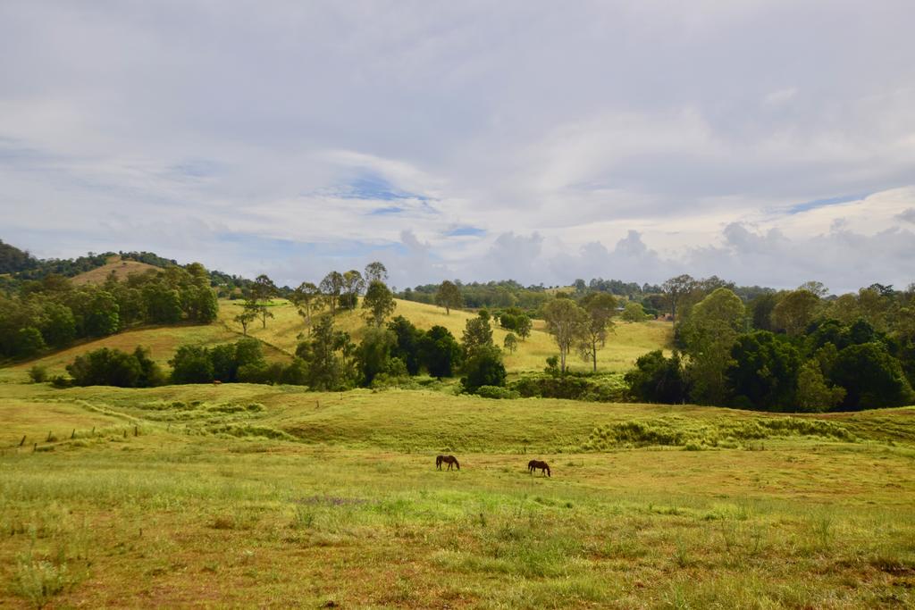 Kandanga QLD Sydney 4u