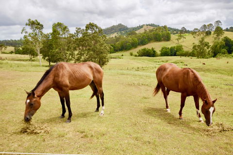 Country Breeze Farm Stay - Accommodation Sydney 1
