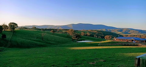 Country Budget - Sydney 4u 1