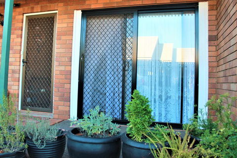 Cozy And Cute Comfort Stay Close To University (Female Only) - Sydney 4u 2